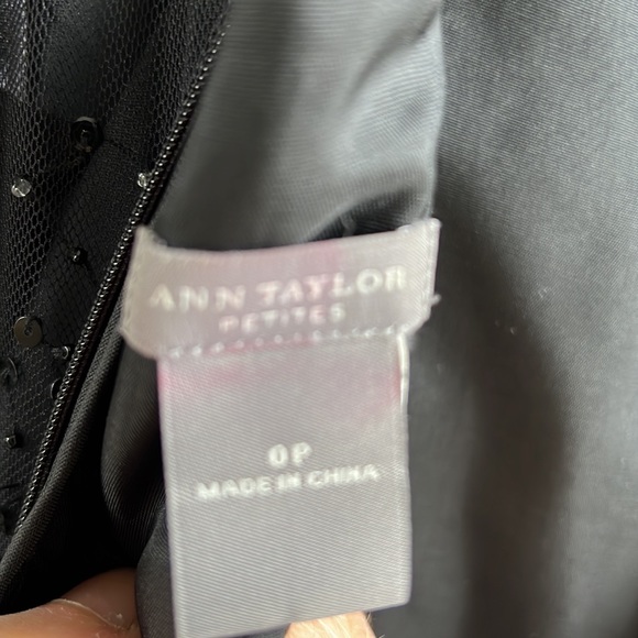 Ann Taylor Party Dress Sequins with Mesh Neckline with Tulle Sequins Body - Picture 9 of 12